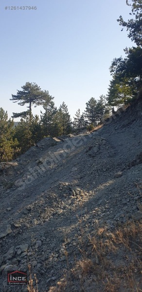 Keles Yaylasında Müstakil Tapulu Bahçe — fotoğraf 16