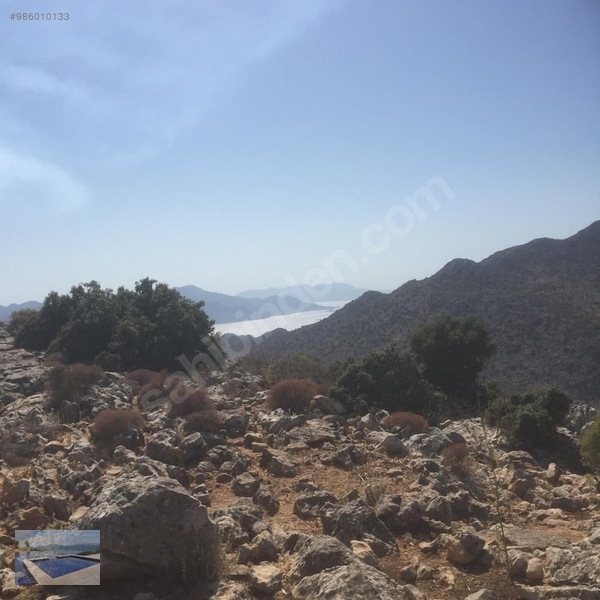 Cmm,den Söğüt Taşlıca Da Tarla — fotoğraf 2