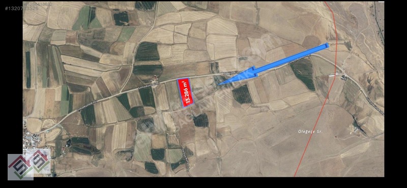Sağlam'dan Erzurum Merkeze 15 Dk 13.286m² Fırsat Tek Tapu Arsa — fotoğraf 2