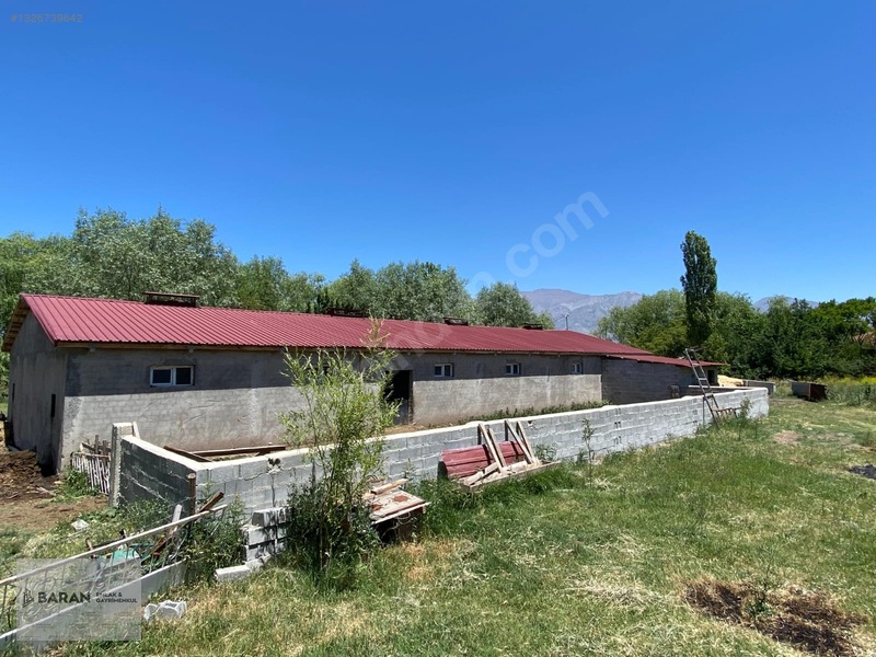 Soğukoluk Aktepe Mahallesi Satılık Besi Çiftliği — fotoğraf 2