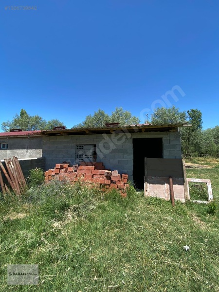Soğukoluk Aktepe Mahallesi Satılık Besi Çiftliği — fotoğraf 6
