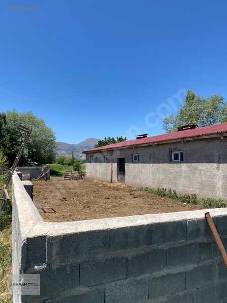 Soğukoluk Aktepe Mahallesi Satılık Besi Çiftliği — fotoğraf 11