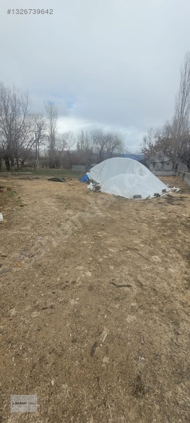 Soğukoluk Aktepe Mahallesi Satılık Besi Çiftliği — fotoğraf 15