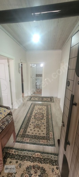 Soğukoluk Aktepe Mahallesi Satılık Besi Çiftliği — fotoğraf 29