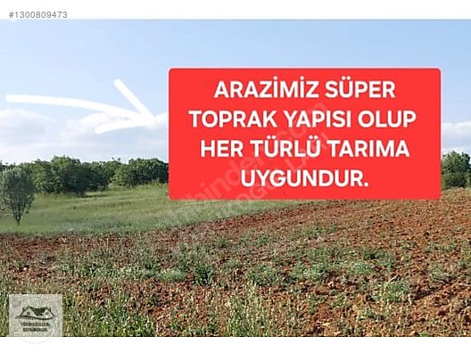 Köye Yakın*süper Toprak*müstakil Tapu*çerez Parasına*sulanabilir — fotoğraf 7