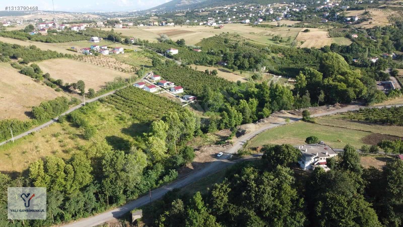 Yalı Gayrimenkul|taflan'da Yol Cepheli Anayola Yakın Tarla — fotoğraf 2