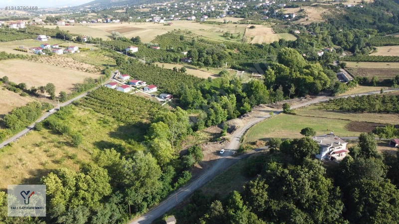 Yalı Gayrimenkul|taflan'da Yol Cepheli Anayola Yakın Tarla — fotoğraf 3