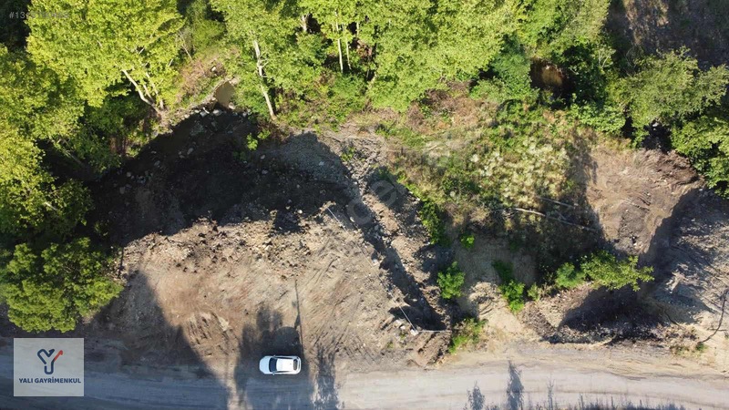 Yalı Gayrimenkul|taflan'da Yol Cepheli Anayola Yakın Tarla — fotoğraf 8