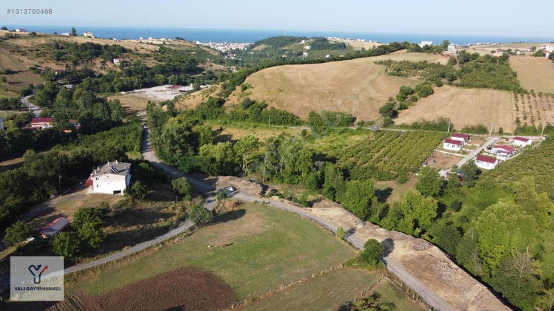 Yalı Gayrimenkul|taflan'da Yol Cepheli Anayola Yakın Tarla — fotoğraf 9