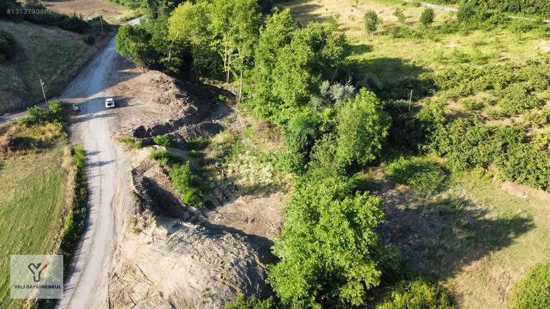 Yalı Gayrimenkul|taflan'da Yol Cepheli Anayola Yakın Tarla — fotoğraf 15
