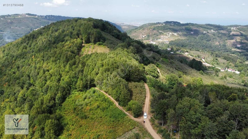 Yalı Gayrimenkul|taflan'da Yol Cepheli Anayola Yakın Tarla — fotoğraf 17