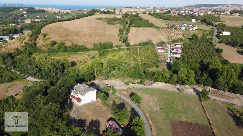 Yalı Gayrimenkul|taflan'da Yol Cepheli Anayola Yakın Tarla — fotoğraf 18