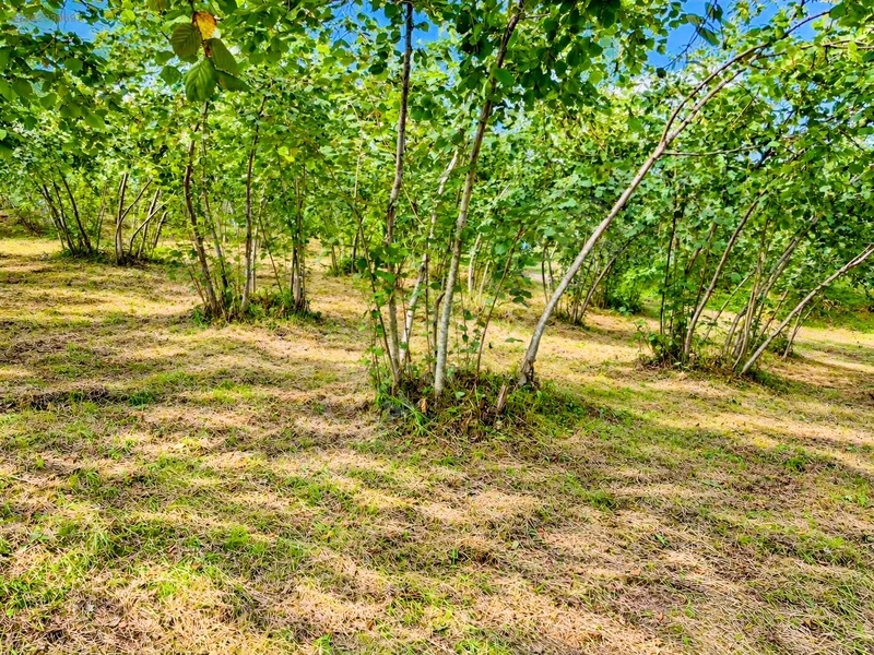 Gw Nova'dan Esenyurt Mahallesinde Satılık Arsa — fotoğraf 3