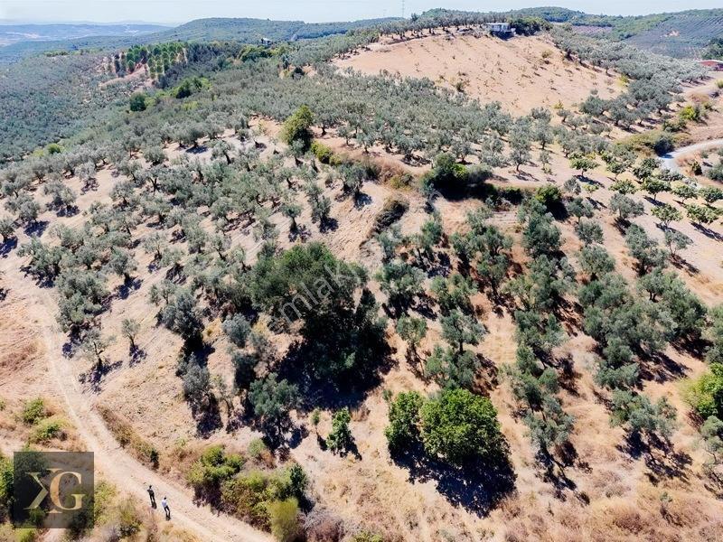 Pruva'Dan Çınarlıda Göl Manzaralı Tek Tapu Satılık Arsa — fotoğraf 5