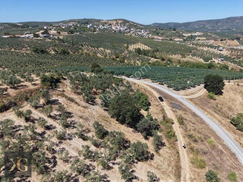 Pruva'Dan Çınarlıda Göl Manzaralı Tek Tapu Satılık Arsa — fotoğraf 7