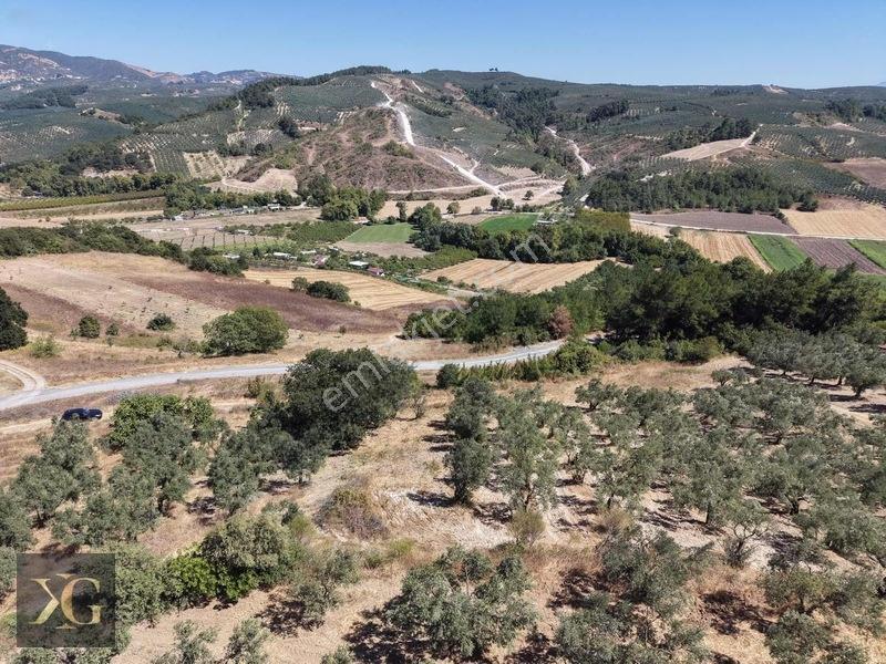 Pruva'Dan Çınarlıda Göl Manzaralı Tek Tapu Satılık Arsa — fotoğraf 14