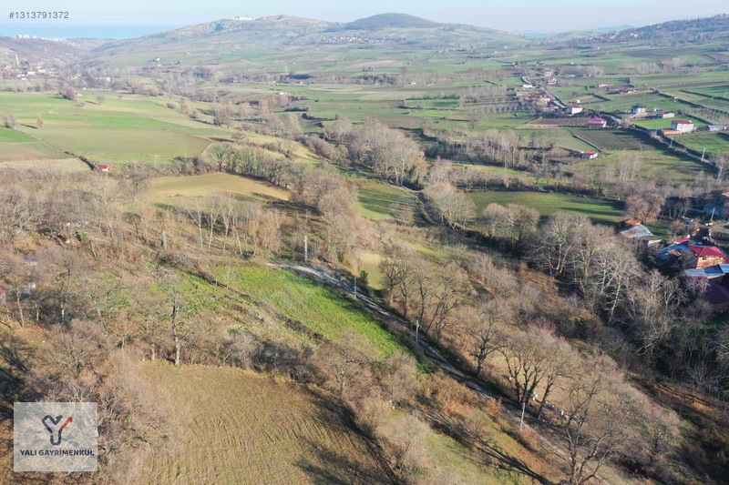 Yalı Gayrimenkul|köseli Köyiçi İmarlı Resmi Ev Yapılabilen Tarla — fotoğraf 4