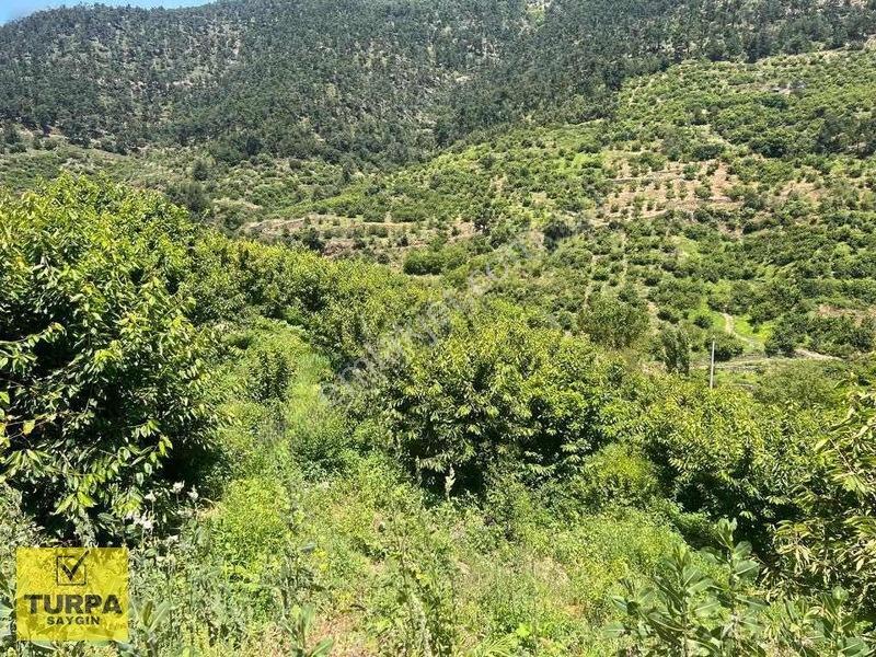 Turpadan Kemalpaşa Yenikuruderede İmarlı 666 M2 Satılık Arsa — fotoğraf 2