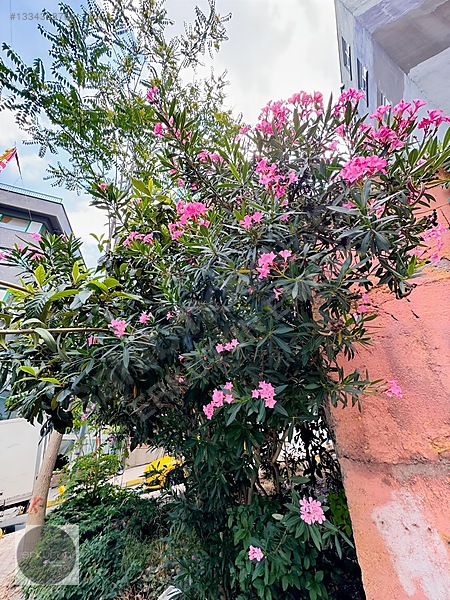 Erkutun'dan Osmanbey'de, Asansörlü Ve Ferah, 3+1 Satılık Daire — fotoğraf 39