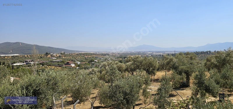 Torbalı Çapakta 400 M2 Tek Tapu Vılla — fotoğraf 14