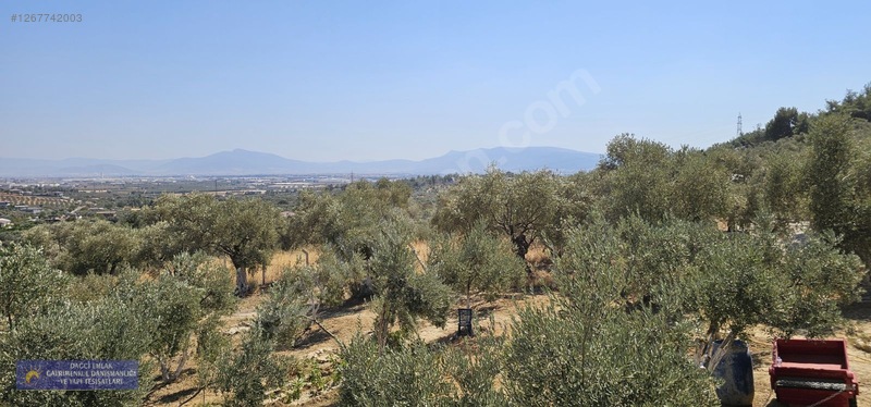 Torbalı Çapakta 400 M2 Tek Tapu Vılla — fotoğraf 17