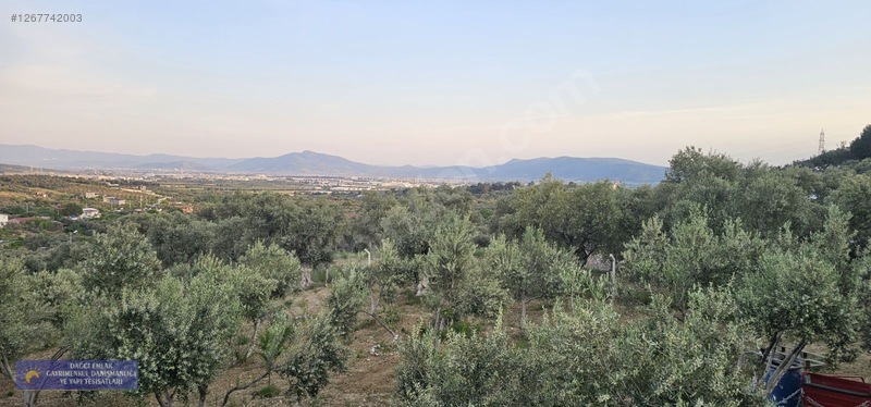 Torbalı Çapakta 400 M2 Tek Tapu Vılla — fotoğraf 28
