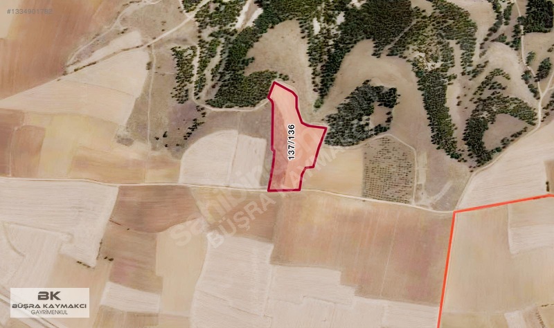 Uşak Merkez Şükraniye'De Satılık 21.931 M2 Tarla