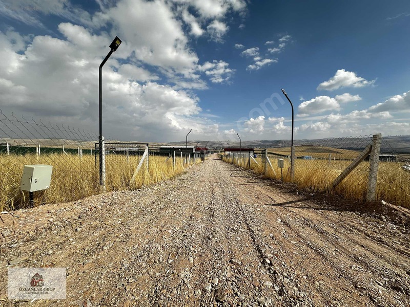 Köşe Parsel Hobi Bahçesi | Sıfır Konteyneri İçinde | Suyu Mevcut — fotoğraf 35