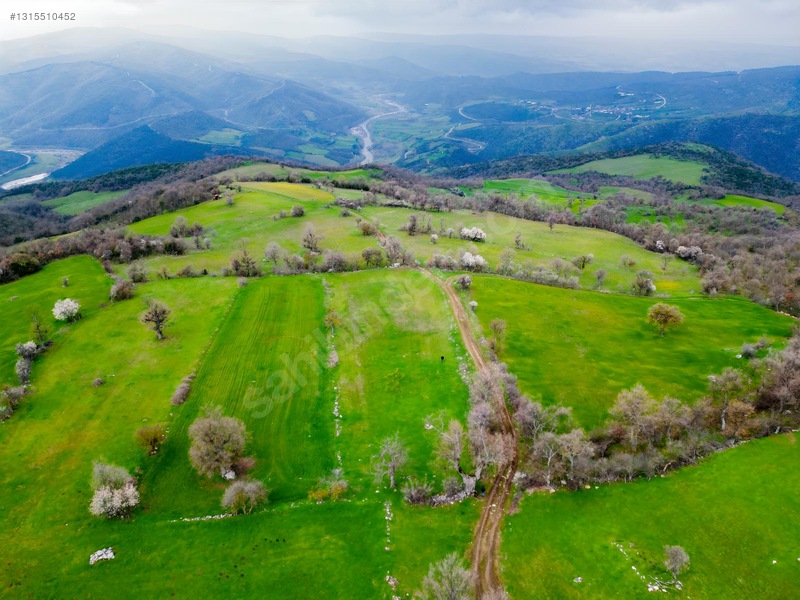 Sare Gayrimenkul Kepsut Örenli Mah 3276 M2 Tarla — fotoğraf 2