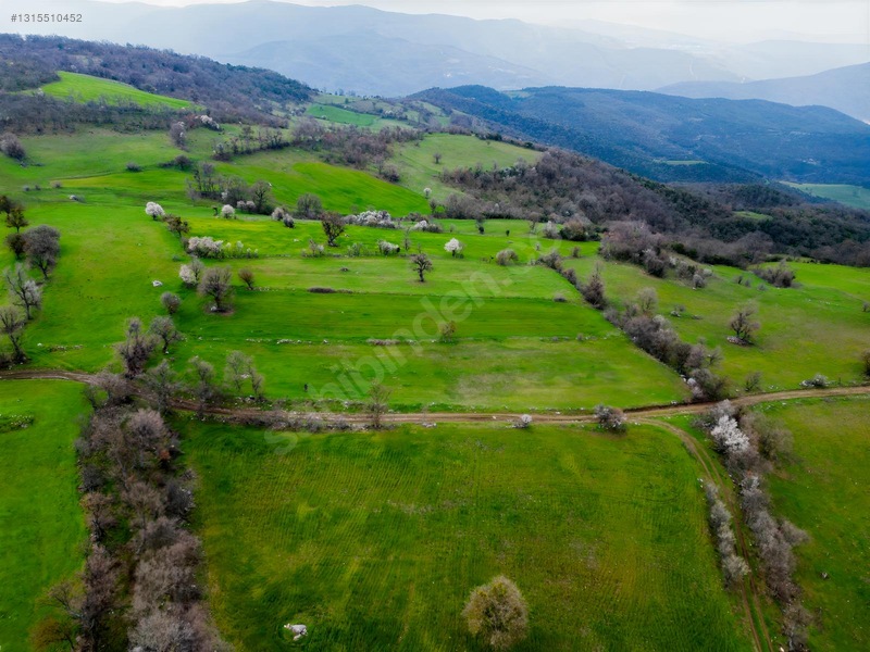 Sare Gayrimenkul Kepsut Örenli Mah 3276 M2 Tarla — fotoğraf 3