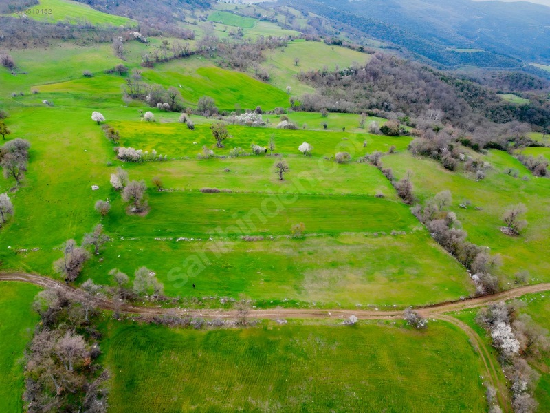 Sare Gayrimenkul Kepsut Örenli Mah 3276 M2 Tarla — fotoğraf 4
