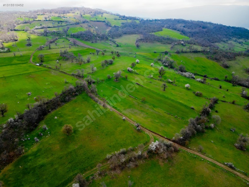 Sare Gayrimenkul Kepsut Örenli Mah 3276 M2 Tarla — fotoğraf 7