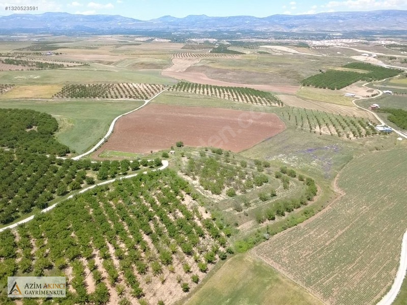 Kuşdoğan'da Çevre Yoluna Yakın Satılık 15425 M² Tarla — fotoğraf 8