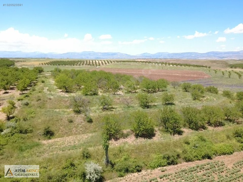 Kuşdoğan'da Çevre Yoluna Yakın Satılık 15425 M² Tarla — fotoğraf 9
