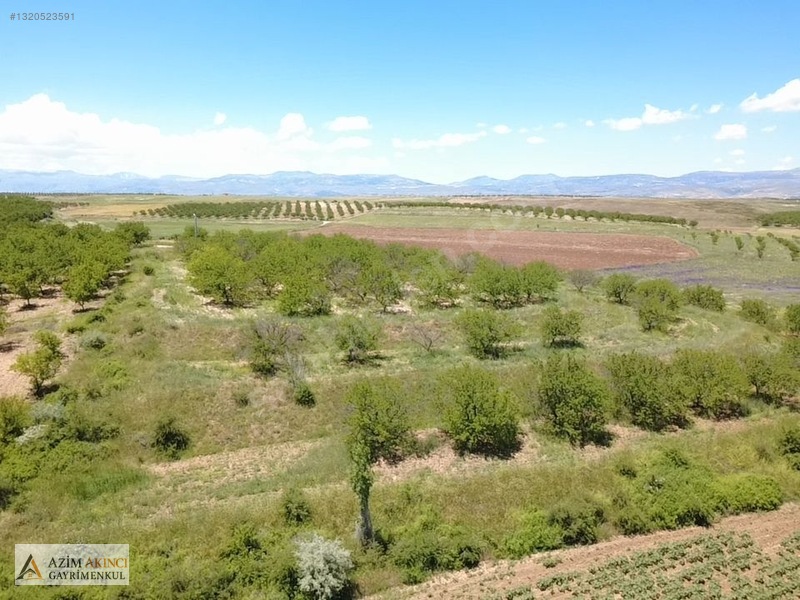 Kuşdoğan'da Çevre Yoluna Yakın Satılık 15425 M² Tarla — fotoğraf 11