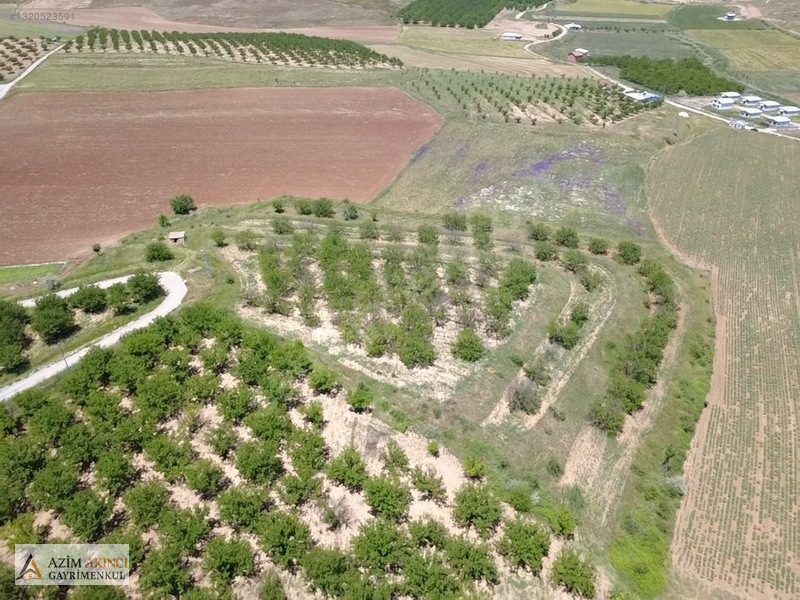Kuşdoğan'da Çevre Yoluna Yakın Satılık 15425 M² Tarla — fotoğraf 13