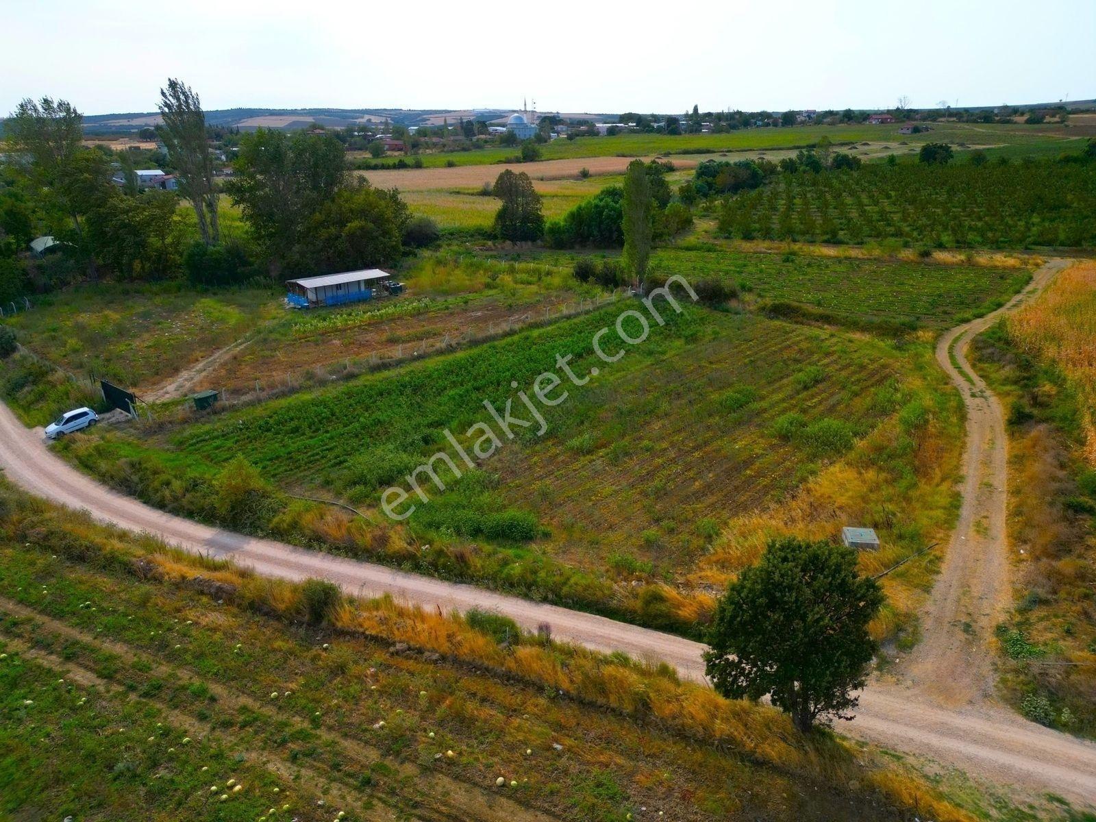 |Bandırma| Merkeze 20 Dakika Mesafede Köy Girişi Yol Su Elektrik — fotoğraf 10