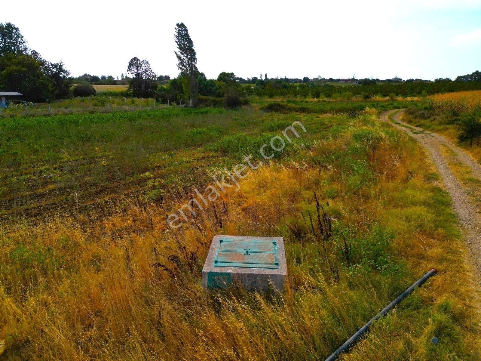 |Bandırma| Merkeze 20 Dakika Mesafede Köy Girişi Yol Su Elektrik — fotoğraf 22