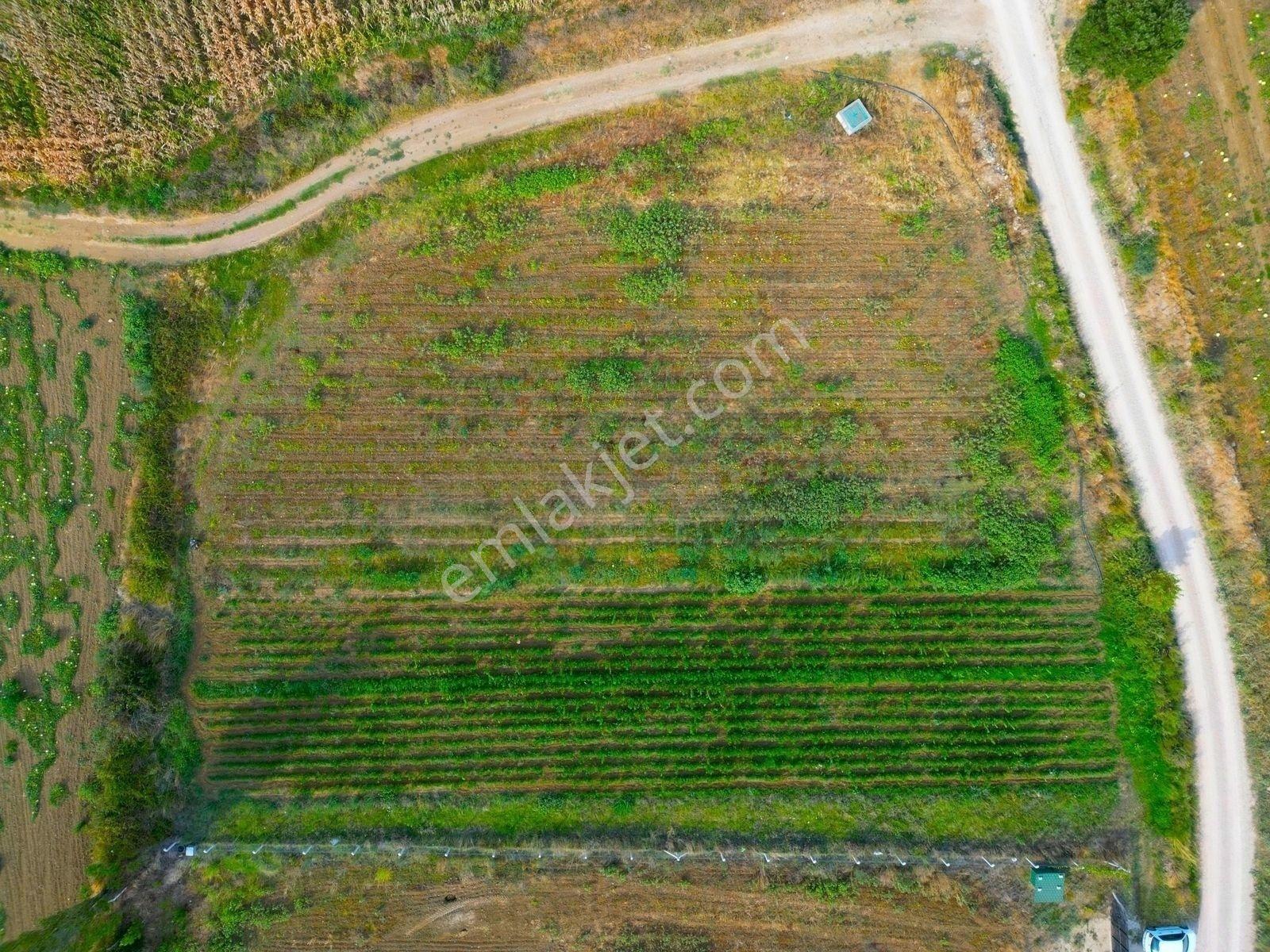 |Bandırma| Merkeze 20 Dakika Mesafede Köy Girişi Yol Su Elektrik — fotoğraf 23