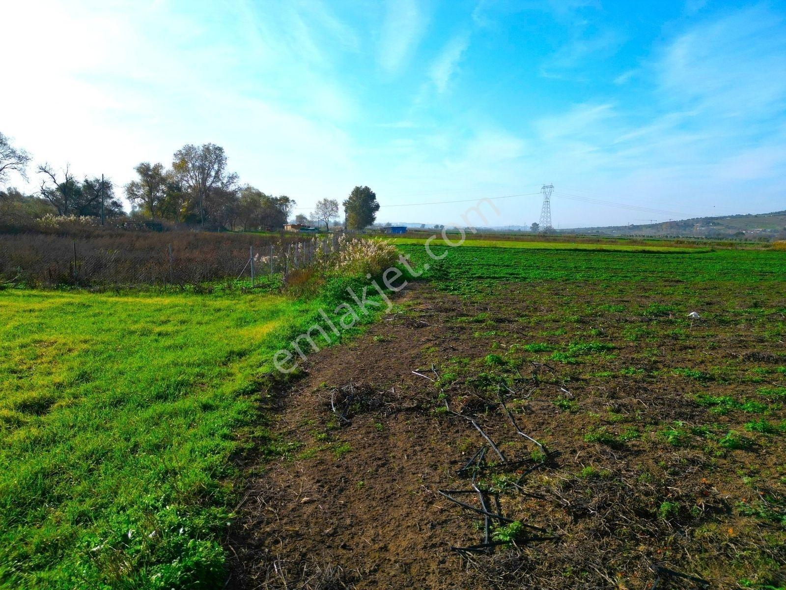 |Karacabey| Merkeze 10 Dakika Çay'A Cephe Resmi Yolu Olan Arazi! — fotoğraf 26