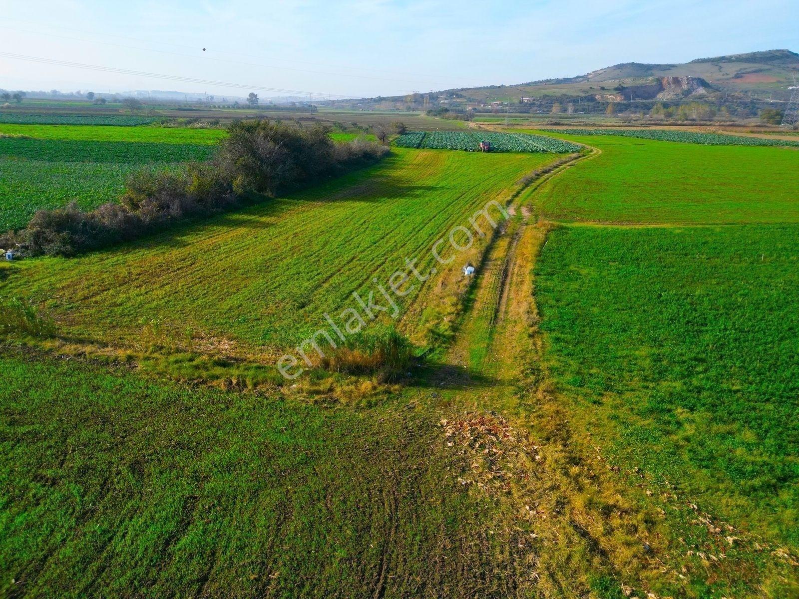 |Karacabey| Merkeze 10 Dakika Çay'A Cephe Resmi Yolu Olan Arazi! — fotoğraf 27