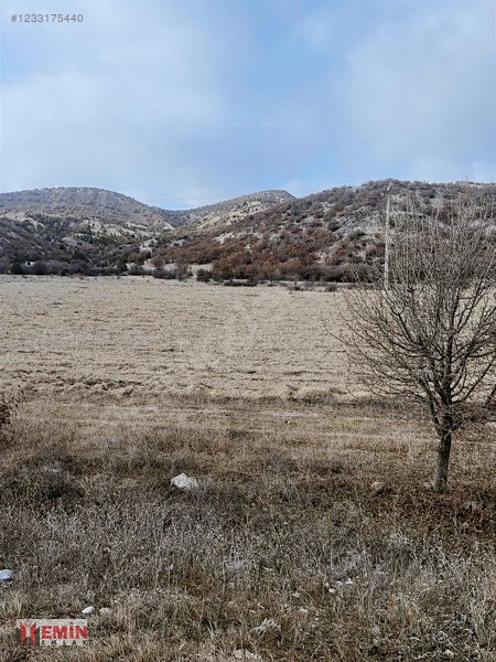 Emin Emlaktan Mahkemeağacin Mah Yola Sıfır Satılık Tarlalar — fotoğraf 6