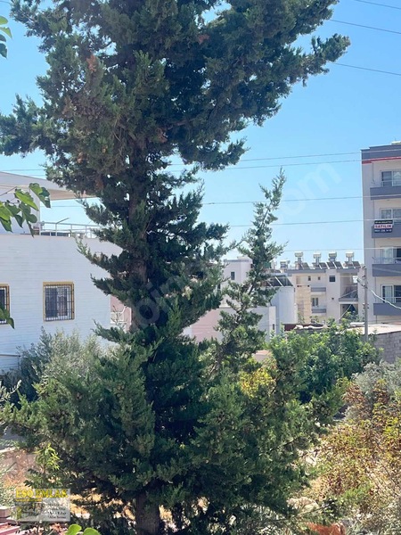 Esodan Mersin Silifke Susanoğlunda Satılık Eşyalı 1+1 — fotoğraf 6