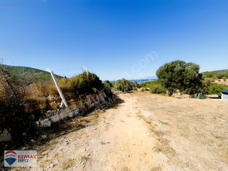 Foça Kozbeyli'de Deniz Manzaralı 443 M² Arsa (2 Hisseli) — fotoğraf 3