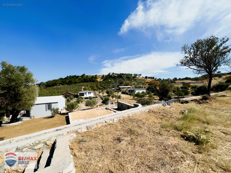 Foça Kozbeyli'de Deniz Manzaralı 443 M² Arsa (2 Hisseli) — fotoğraf 4