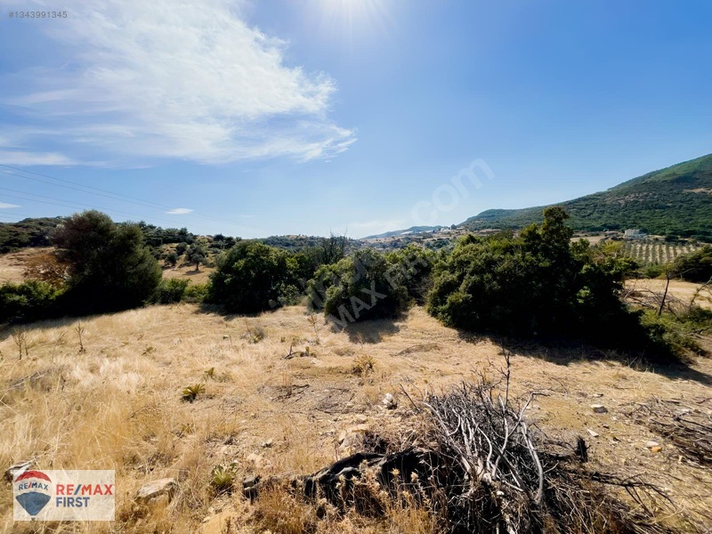 Foça Kozbeyli'de Deniz Manzaralı 443 M² Arsa (2 Hisseli) — fotoğraf 10