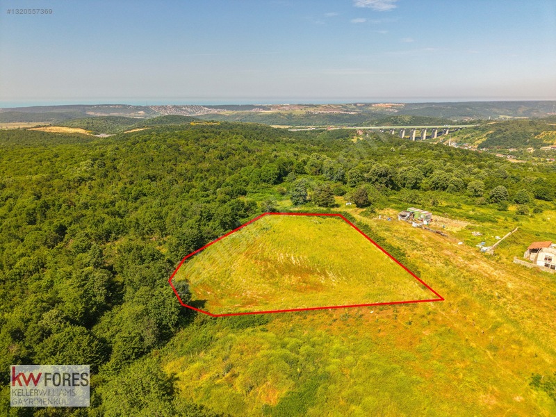 Beykoz Ali Bahadırda Ormana Cephe Satılık 3224 M2 Arazi — fotoğraf 4
