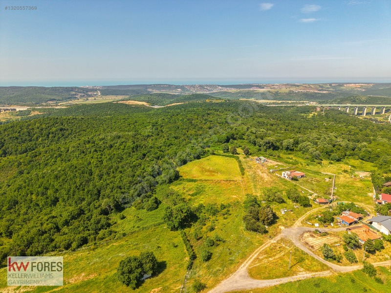 Beykoz Ali Bahadırda Ormana Cephe Satılık 3224 M2 Arazi — fotoğraf 16