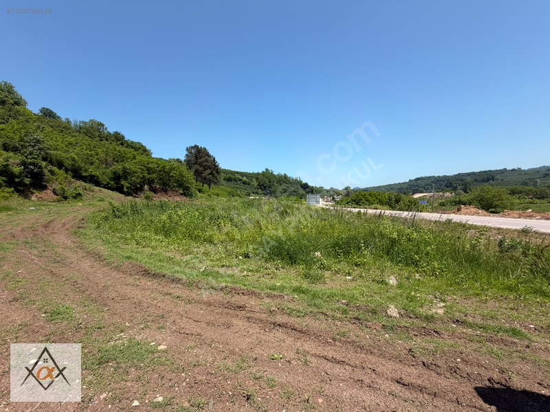 Kumru-korgan Yolunda Yatırımcılar İçin Kaçırılmayacak Fırsat!!! — fotoğraf 8