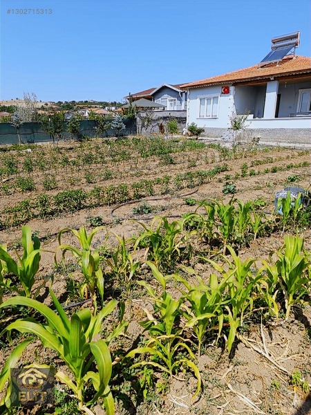 Acil Acil Tatlar Sakızagacın Da 1000 Metre Arsa 100 Metre Evi — fotoğraf 5